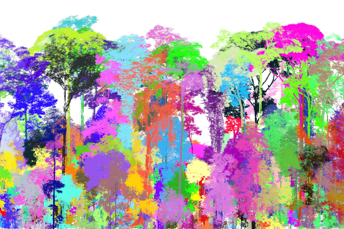 Going 3D – the changing landscape of forest structural complexity