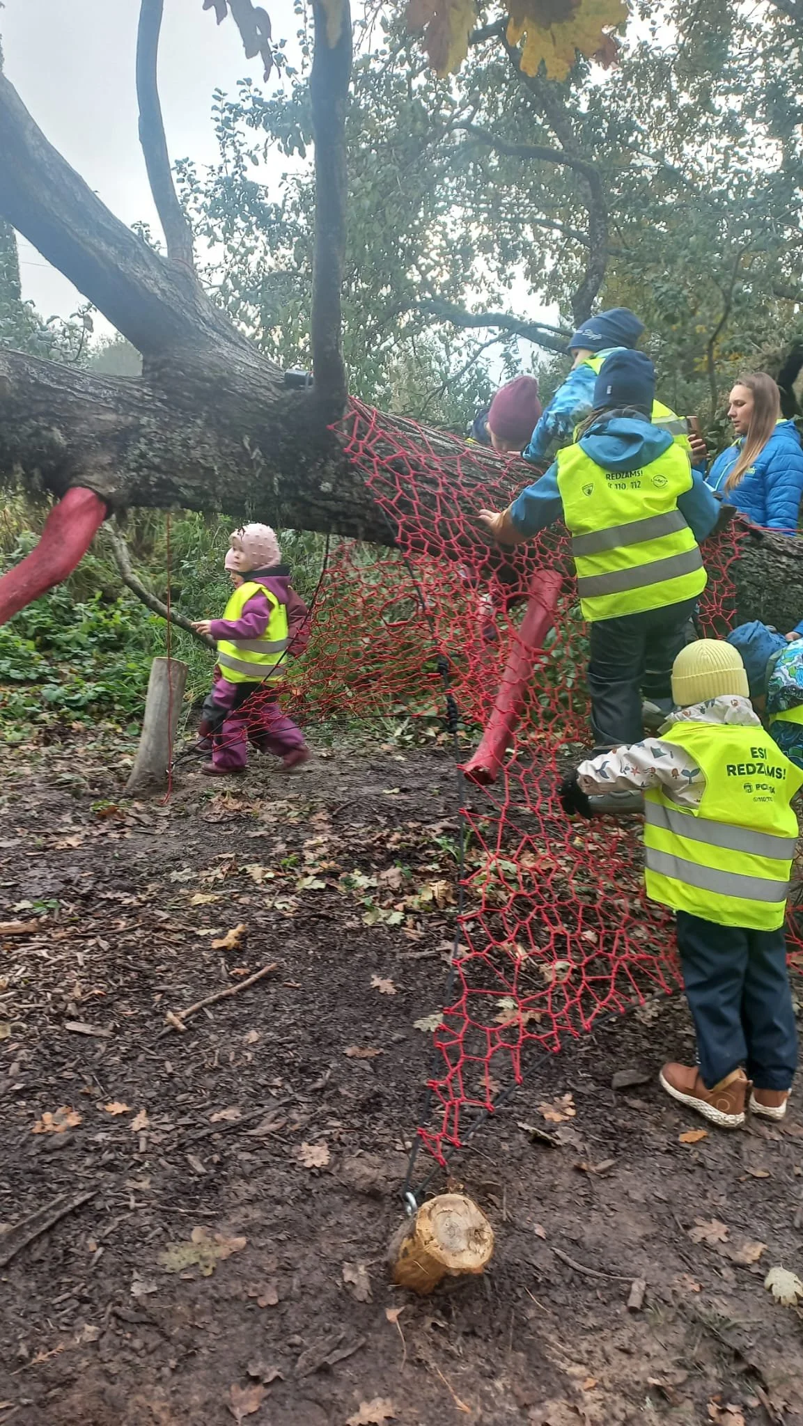 WhatsApp Image 2025-11-12 at 15.02.09.jpeg