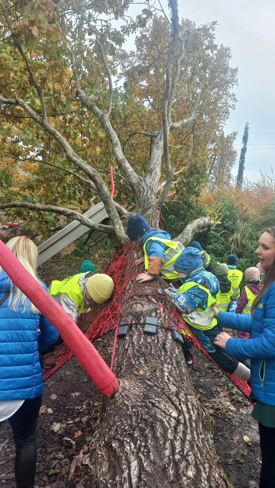 WhatsApp Image 2025-11-12 at 15.02.23 (1).jpeg