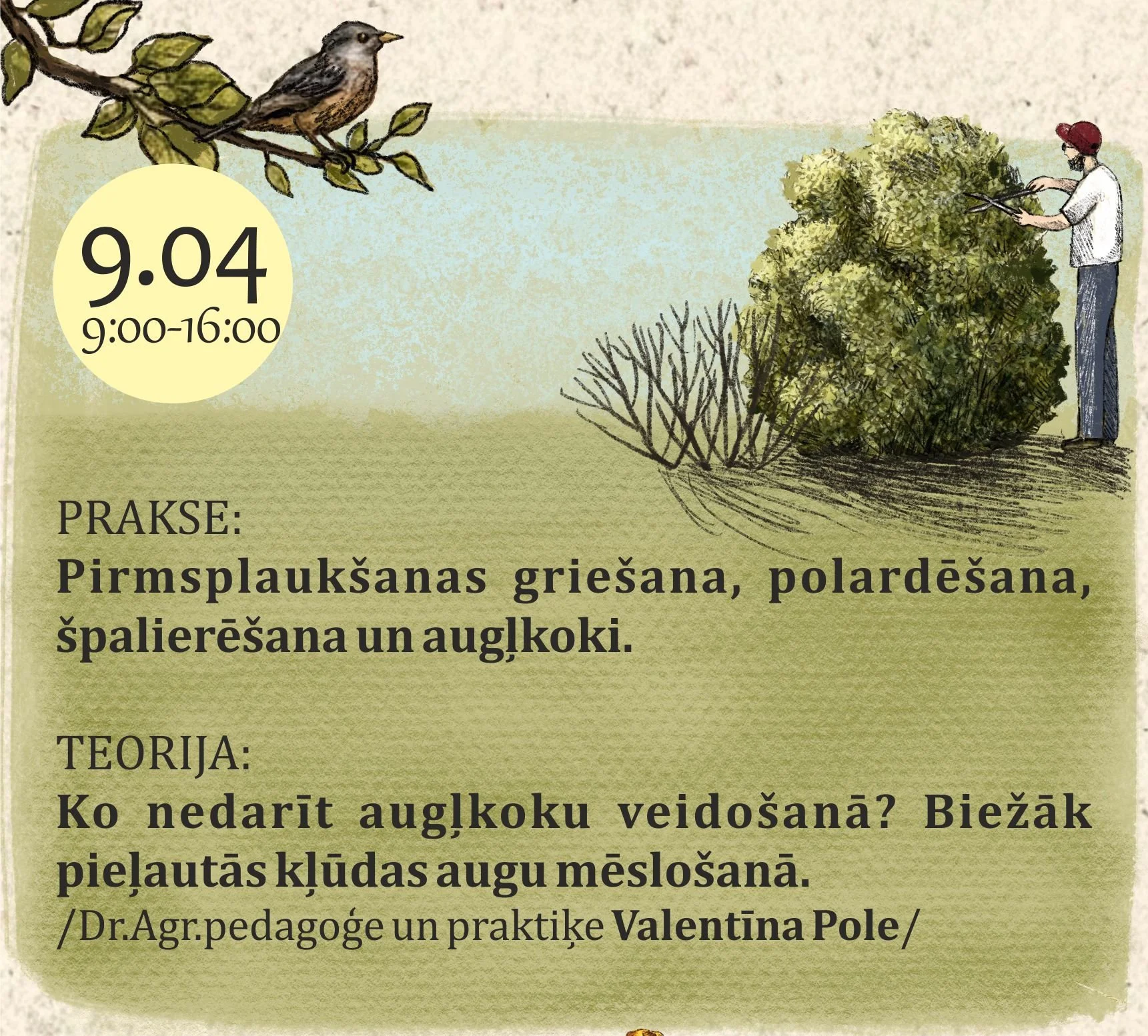 Pirmsplaukšanas griešana, polardēšana, špalierēšana un augļkoku kopšana