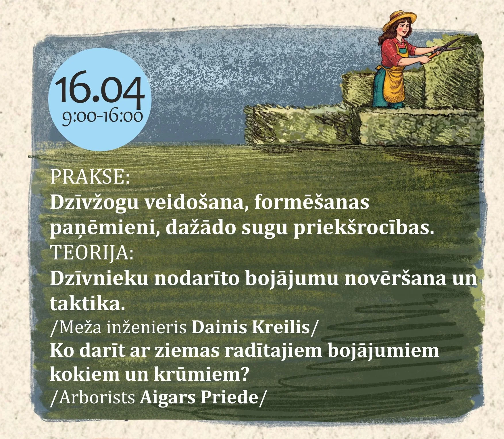 Dzīvžogu veidošana un ziemas bojājumu novēršana