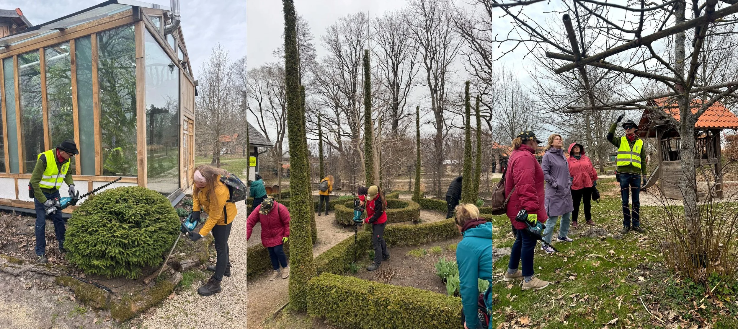 Stāsts par DZĪVŽOGU VEIDOŠANAS meistarklasi 