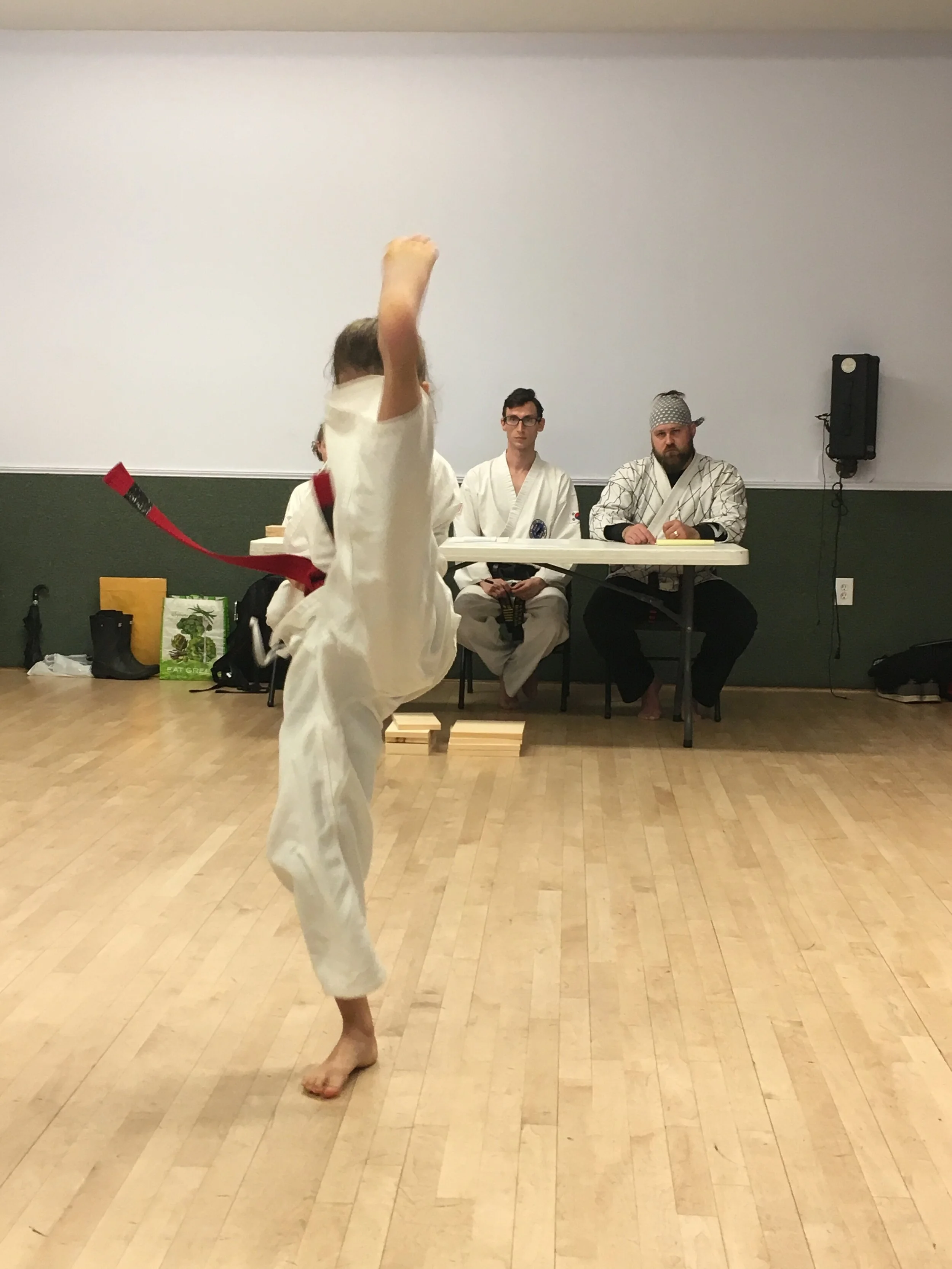 Spence Promotion Test: Taekwon-Do 2