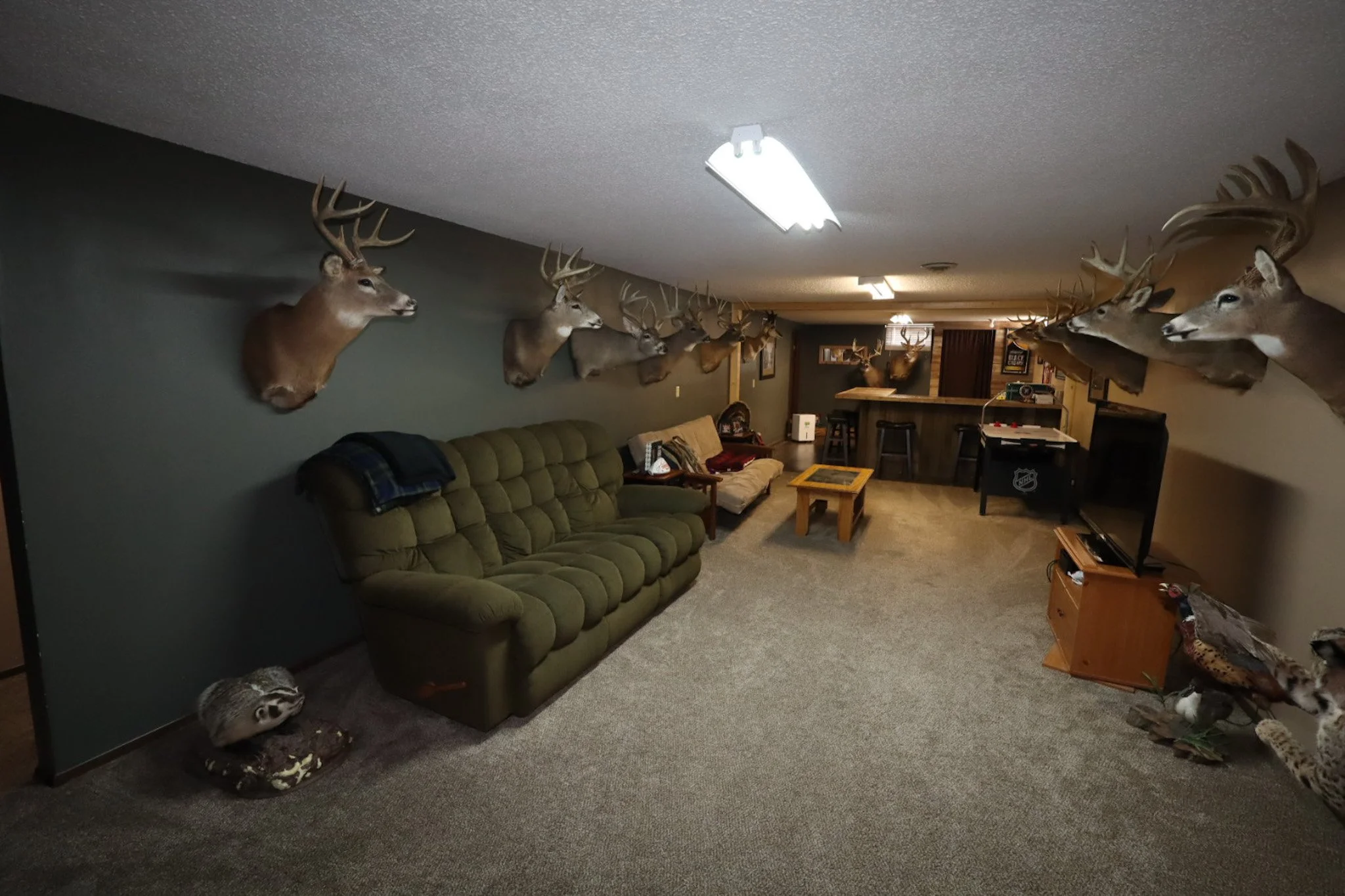 Full finished basement