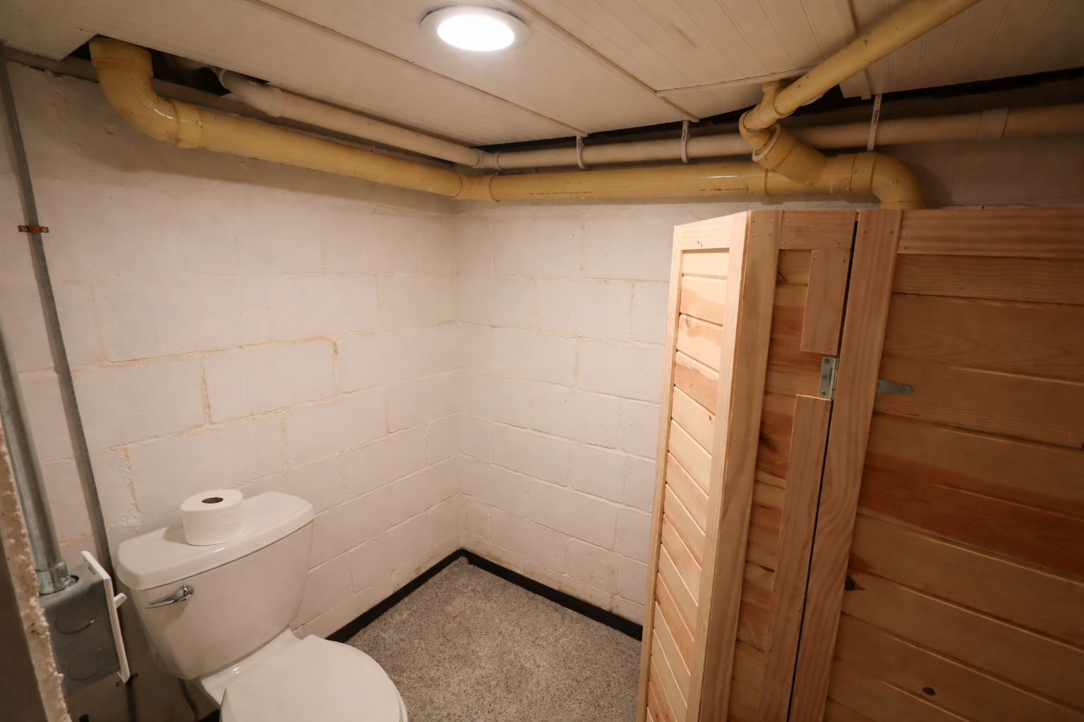 Basement bathroom with unfinished walls.png