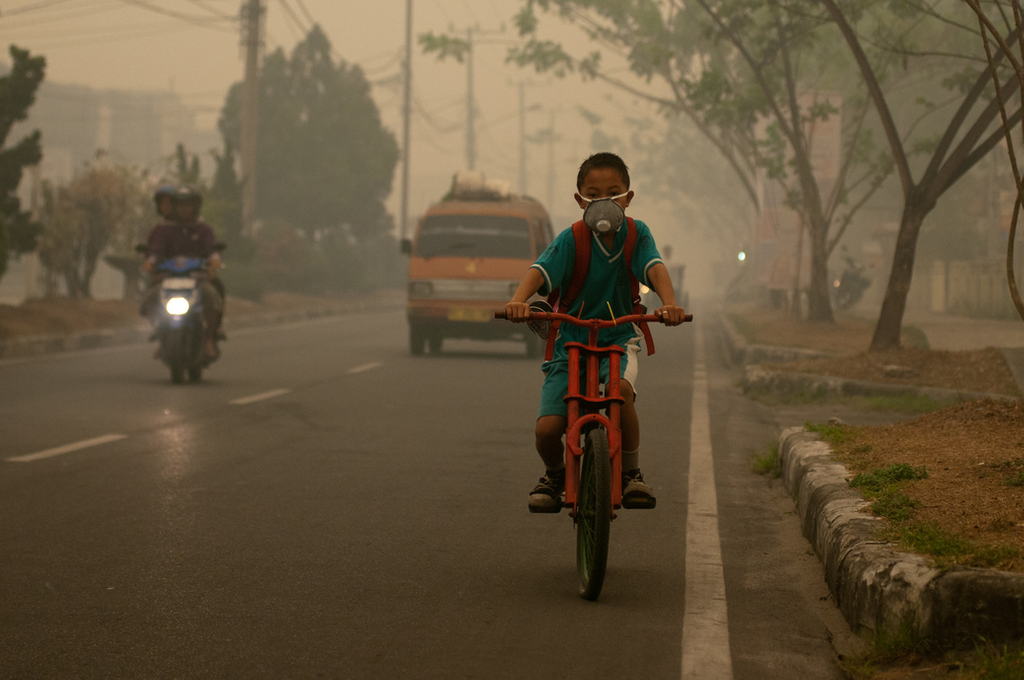 Indonesia's Unceasing Struggle with Smog: School Shutdowns in Provinces