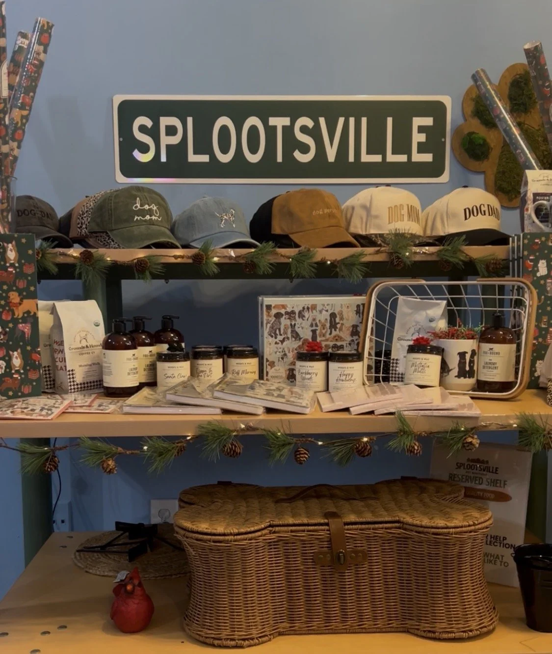 🐾 Where Do the Pet Parents Go?