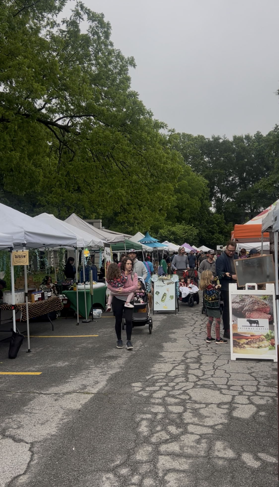 🍎 Atlanta Mutual Aid, Food Resources &amp; Community Support Guide