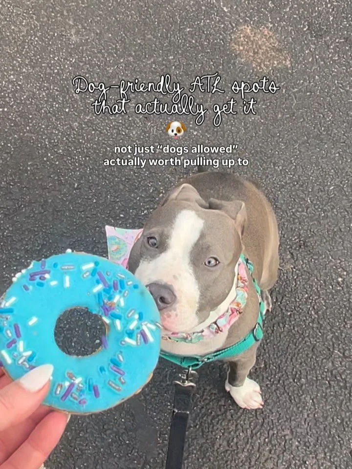 Bring your dog with you 🐾

if you&rsquo;re a dog parent in atlanta, you already know how rare it is to find spots that are more than just &ldquo;technically dog friendly&rdquo;

so I rounded up a few ATL spots that actually get it

➡️ s w i p e  t h