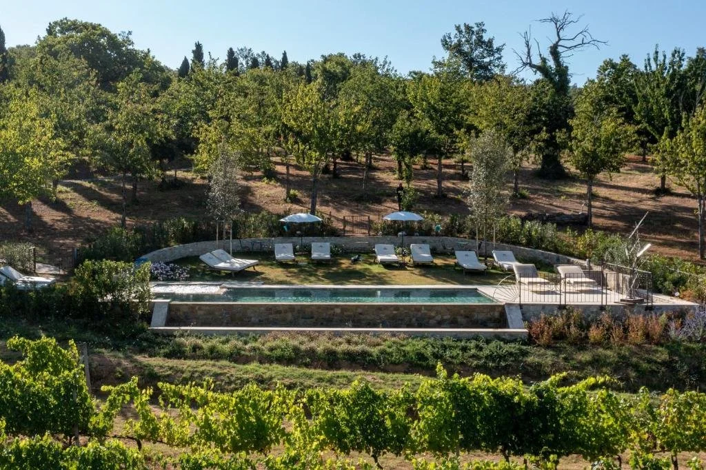 Foto eines länglichen Pools mit weißen Sonnenliegen und Sonnenschirmen auf einer angrenzenden Wiese. Die terrassenförmige Anlage liegt eingebettet zwischen grünen Weinreben im Vordergrund und schattigen Bäumen im Hintergrund.