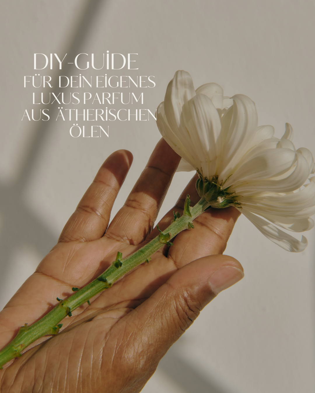 Parfum selber herstellen: Anleitung für dein eigenes Luxus-Parfum aus ätherischen Ölen