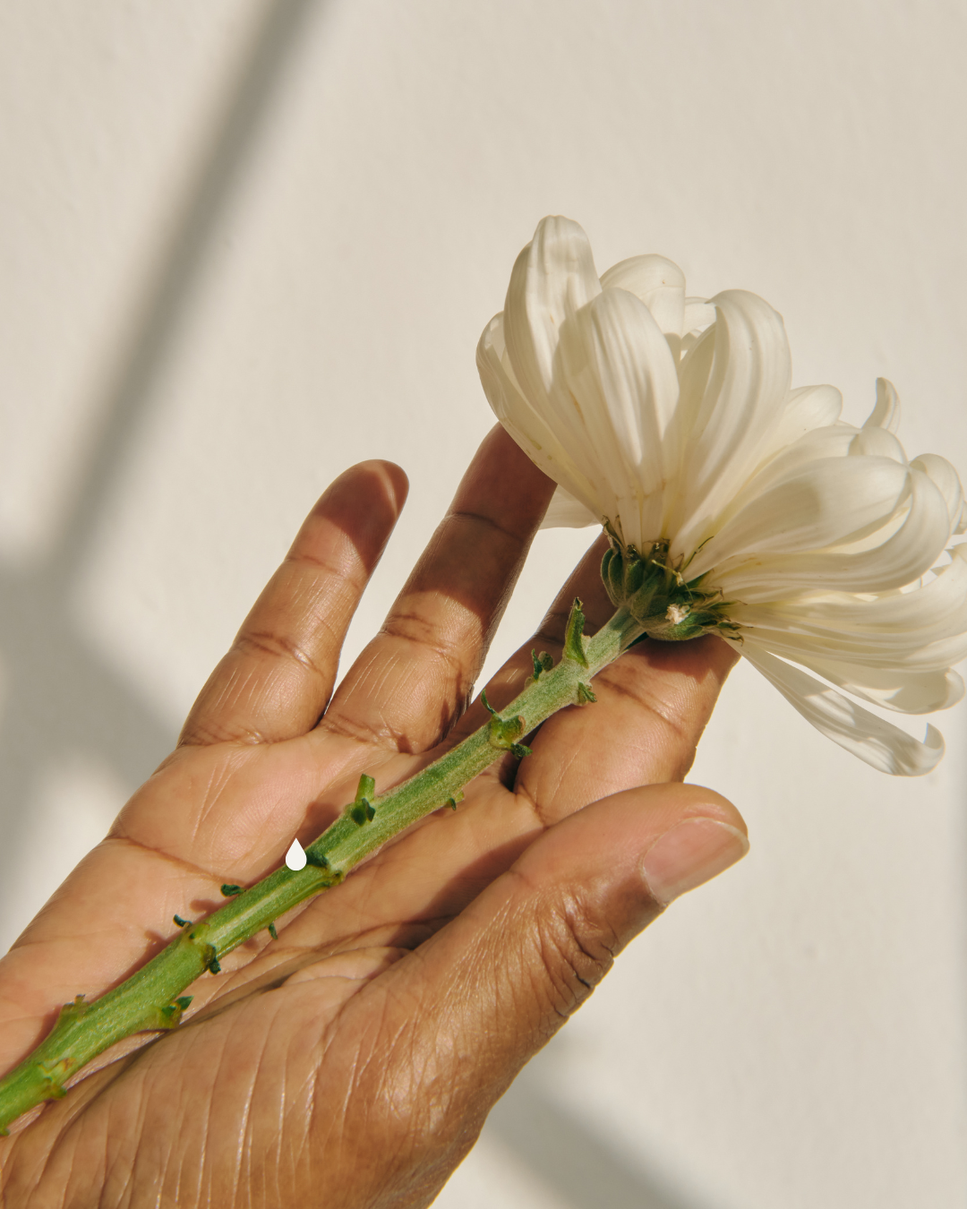 AN WELCHER HAND TRÄGT MAN DEN VERLOBUNGSRING? Tradition, Bedeutung &amp; Bräuche im Überblick