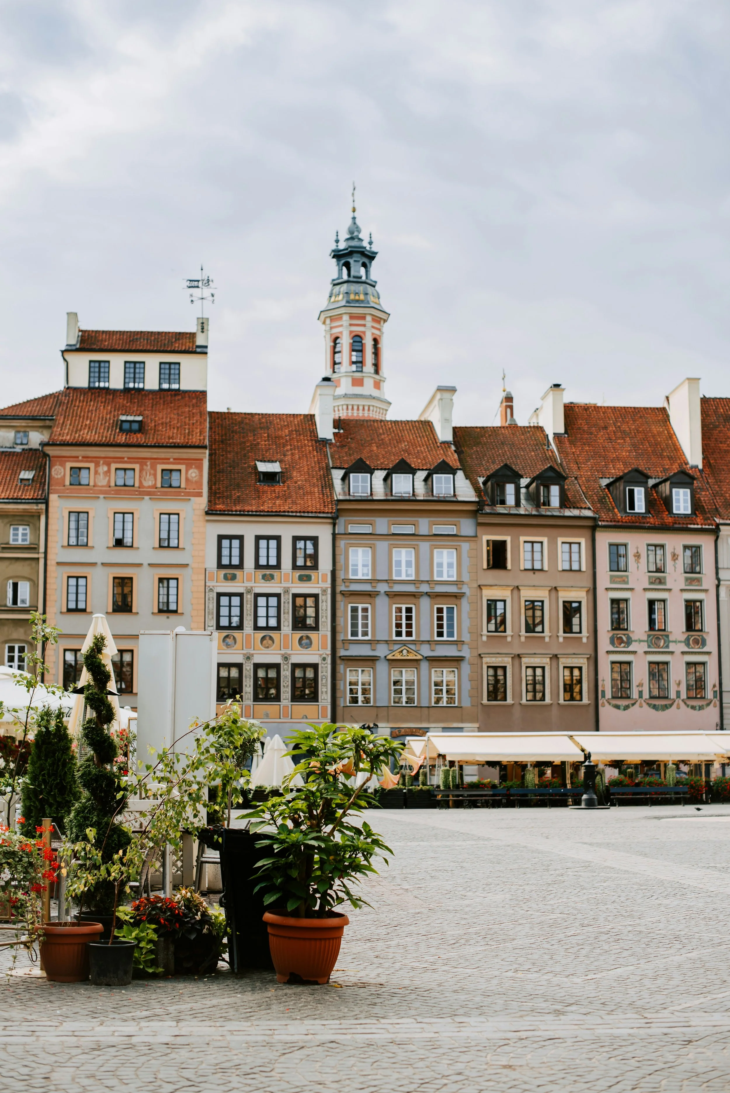 kateryna-hliznitsova-XAdQvcqByUo-unsplash (1).jpg