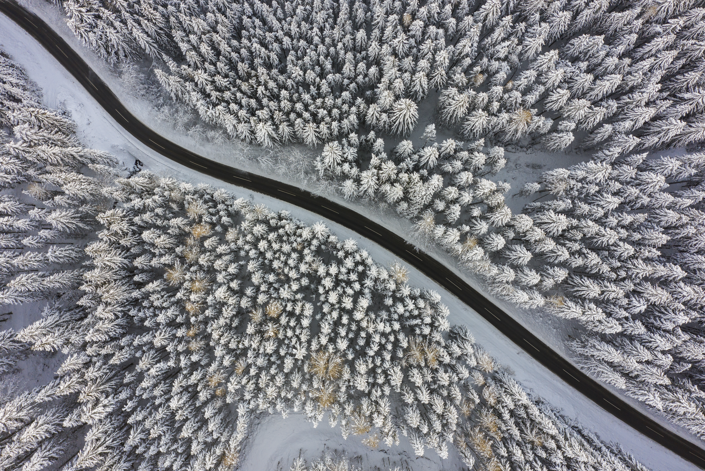 Powder Loft Niseko Driving