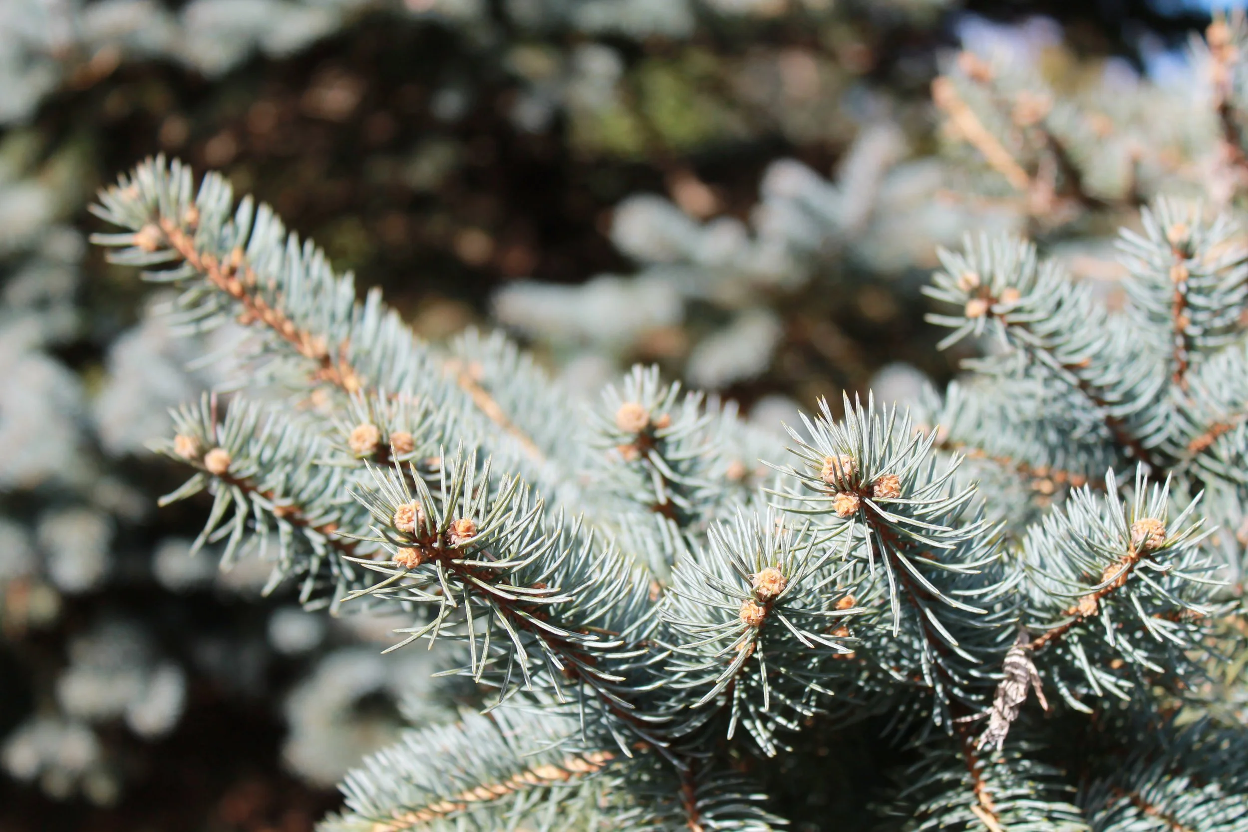 Photo by Heather Bussler, 2023