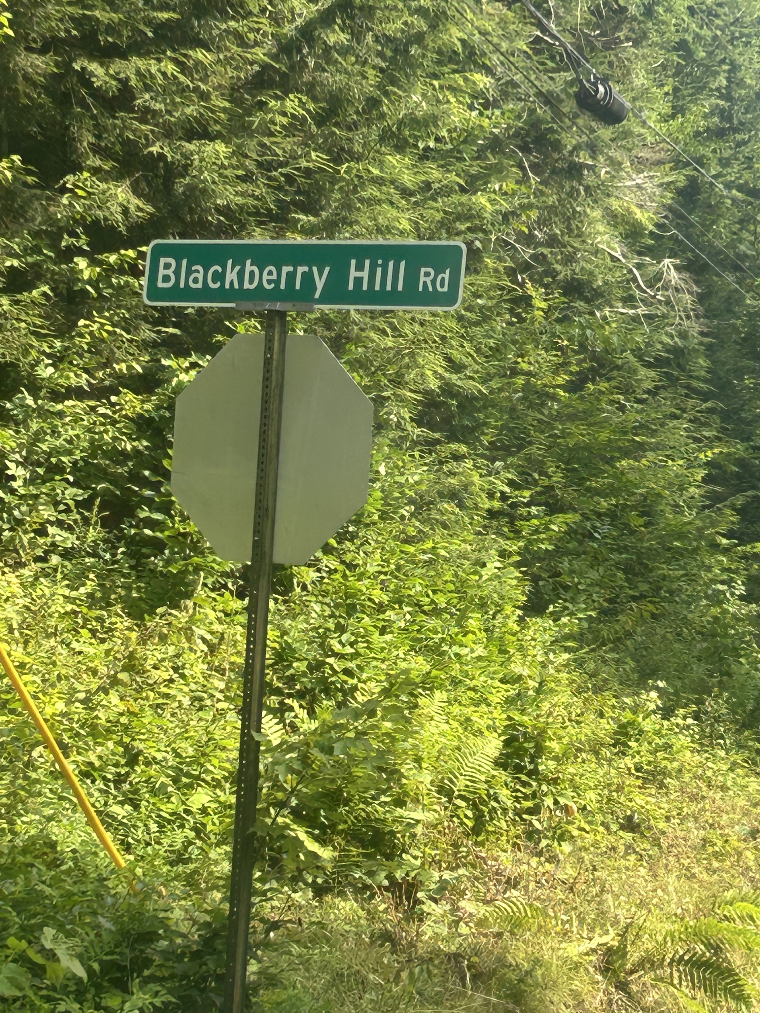Image linking to an Instagram reel showing the scenery at the Blackberry Hill Art Center where the Women in Conversation collection began.