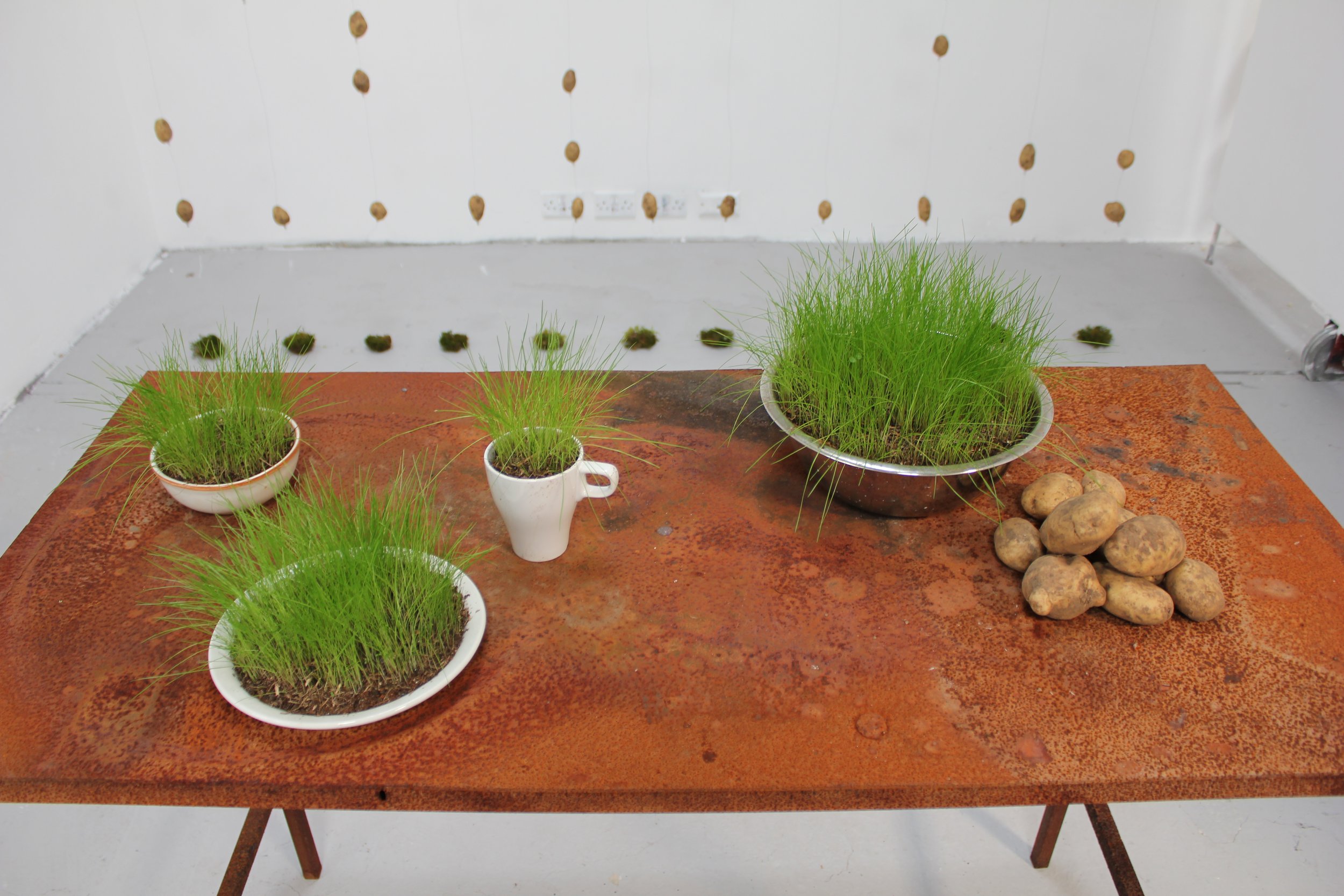 ireland installation part 2 and video 035.JPG