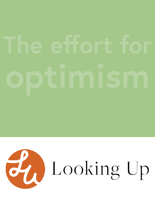 Looking up visual essay12.png