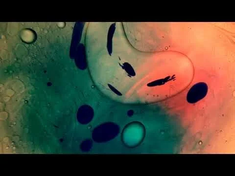 Liquid Light 11/10/19