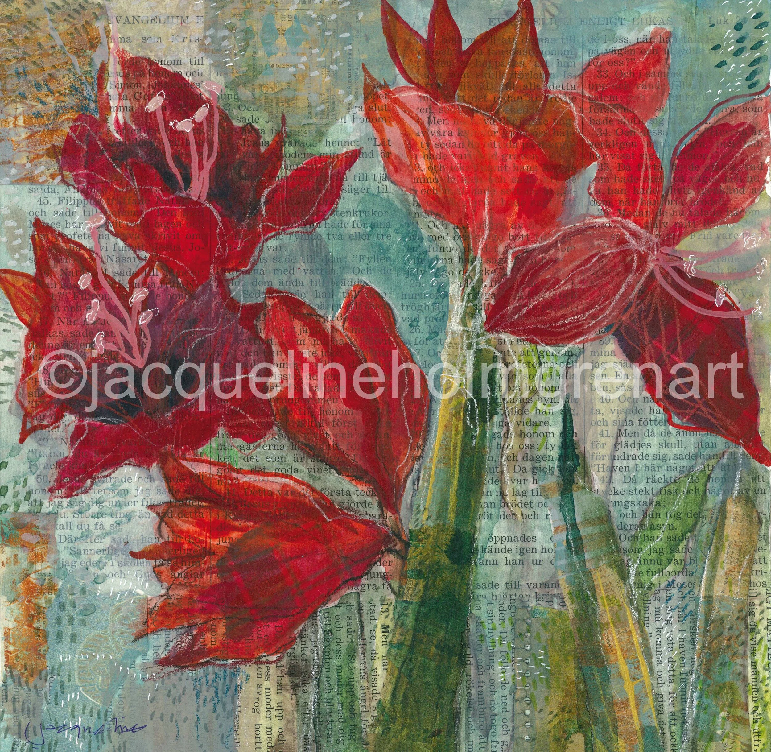 Amaryllis copyright.jpg