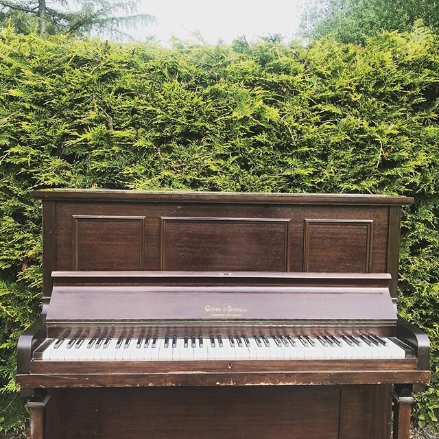 Piano in the hedges. #rustic #rusticdecor #pianos #oldpiano #oldpianos #garden #hedges #art #artdeco #modernart #upcycle