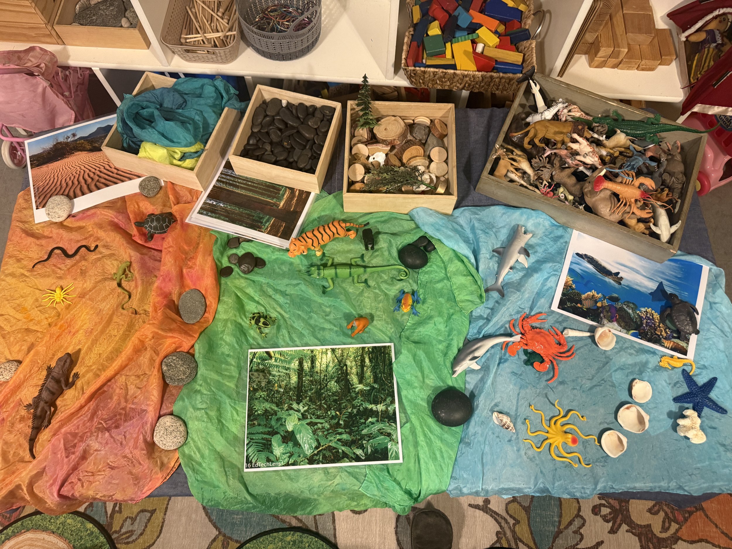 February 2026: All Things Animals!