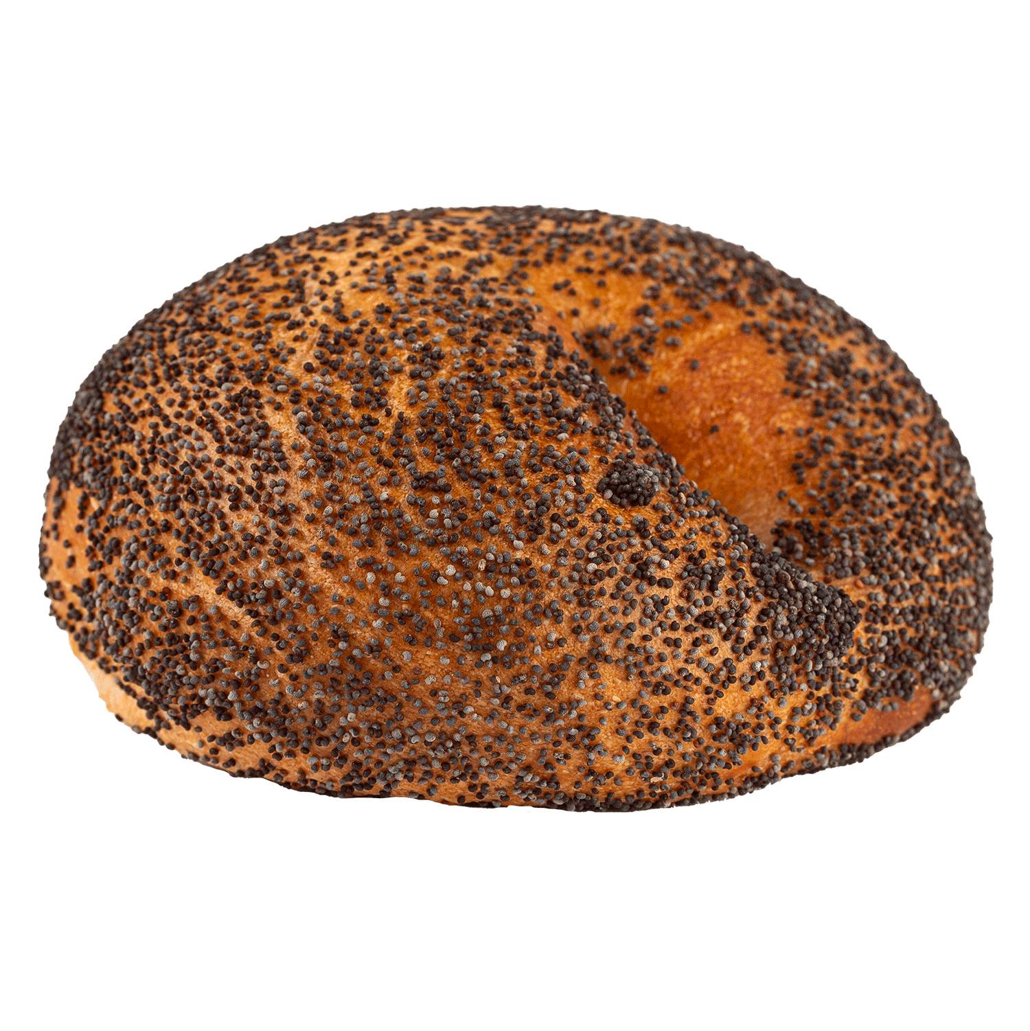 4031-Poppy-Seed-4pack.png