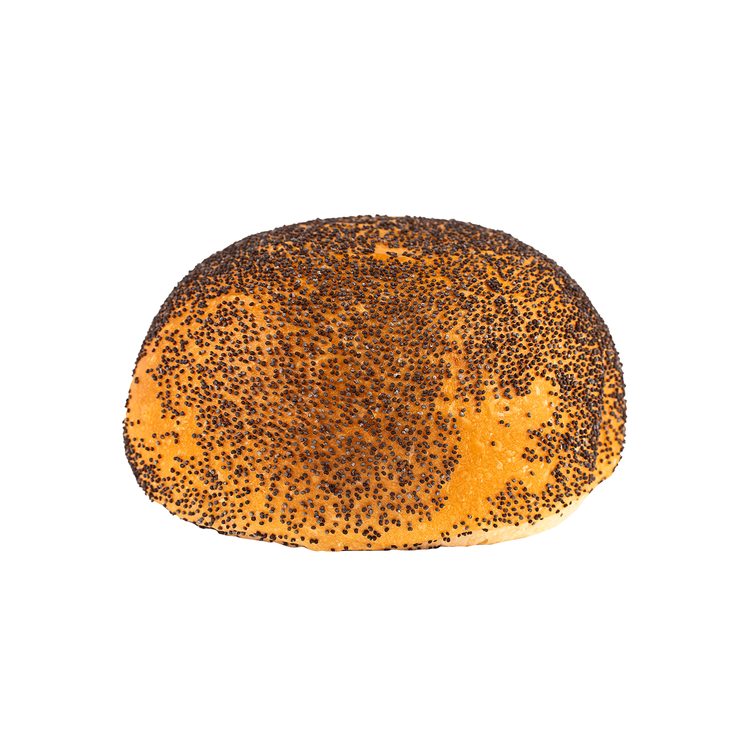 tm9541-Premium-Pub-Bun-with-Poppy-Seed-4halfinch.png