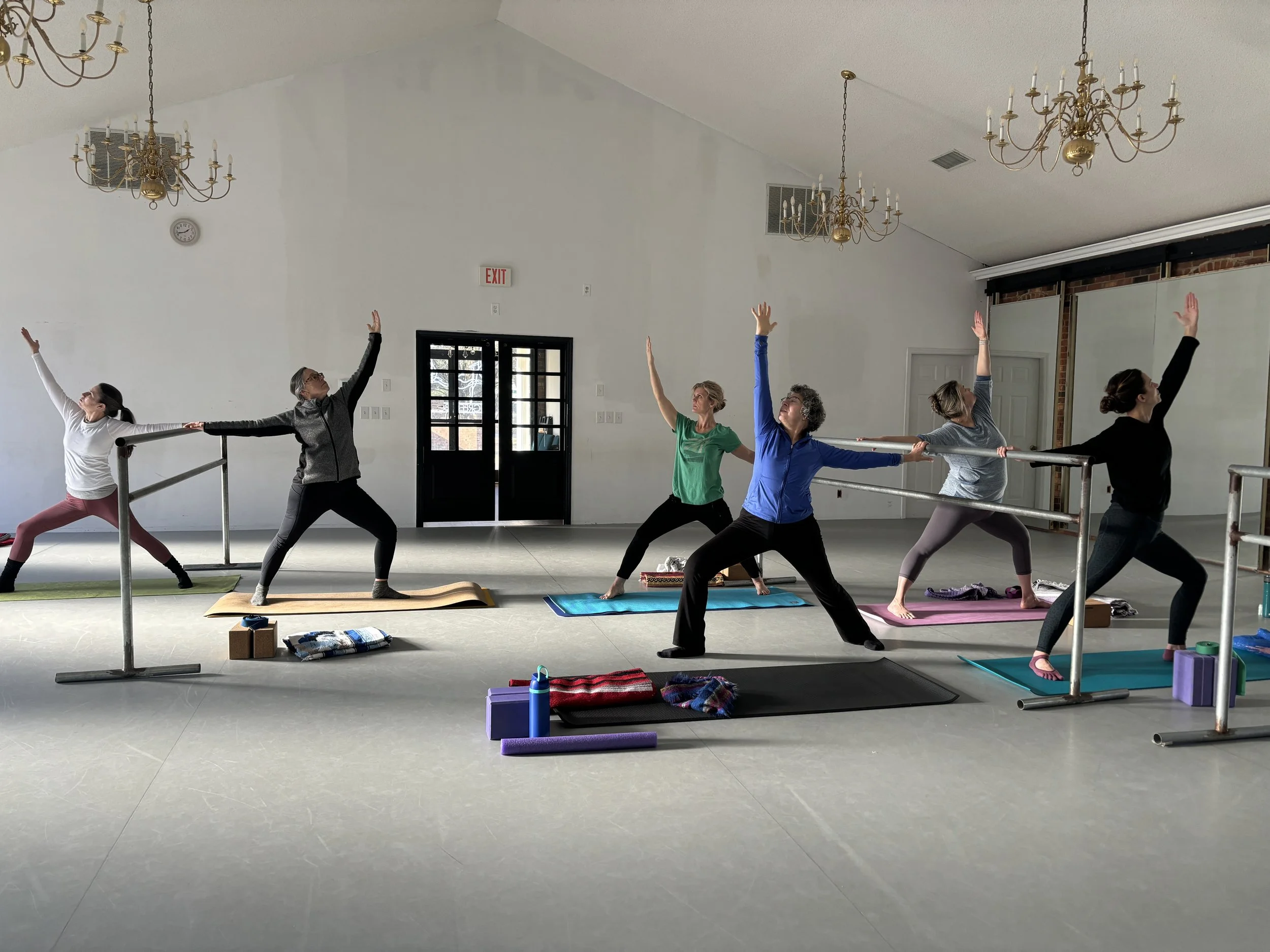 Yoga Wall Inspired Workshop Image 1.JPG
