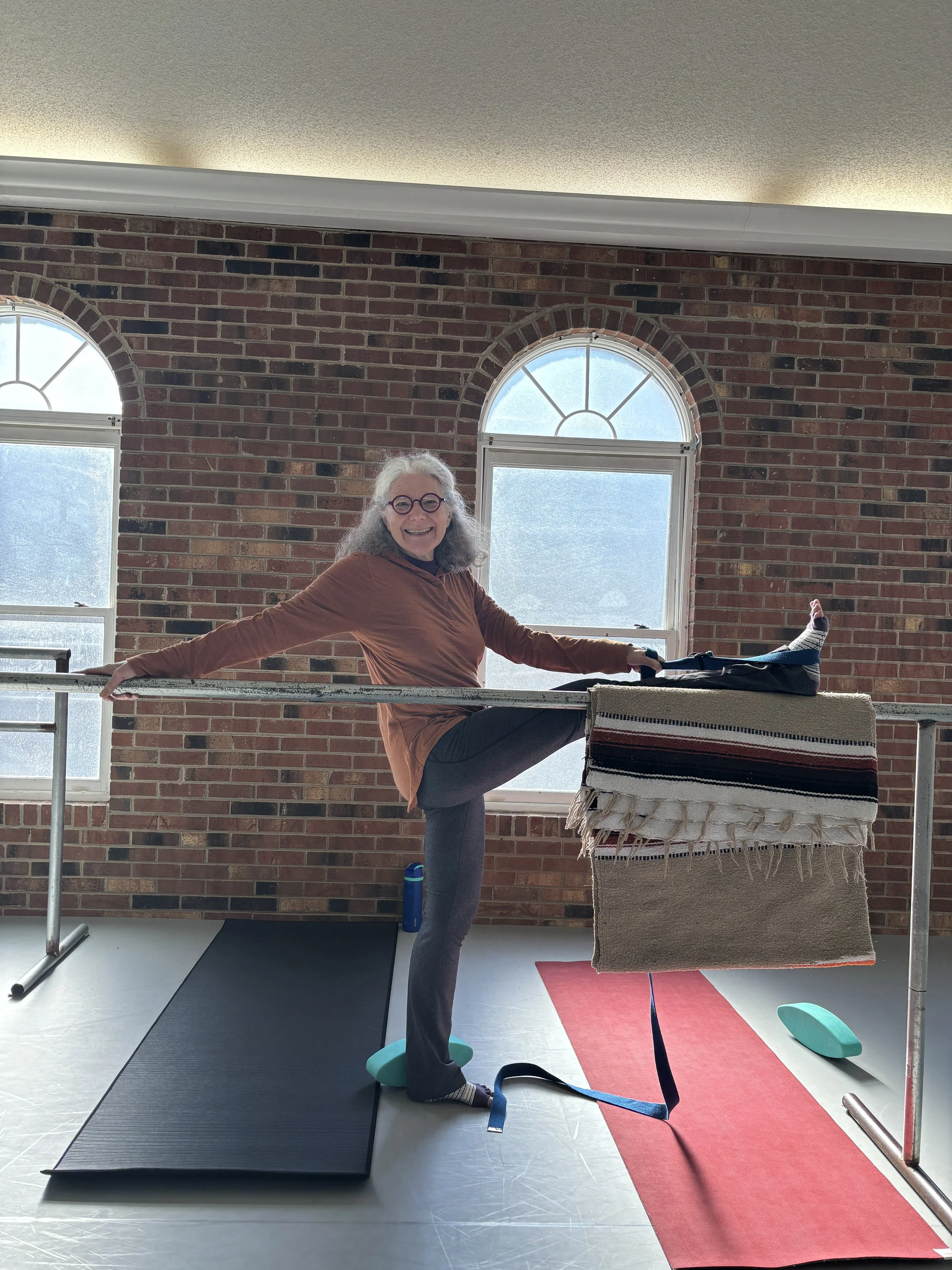 Yoga Wall Inspired Workshop 3.JPG
