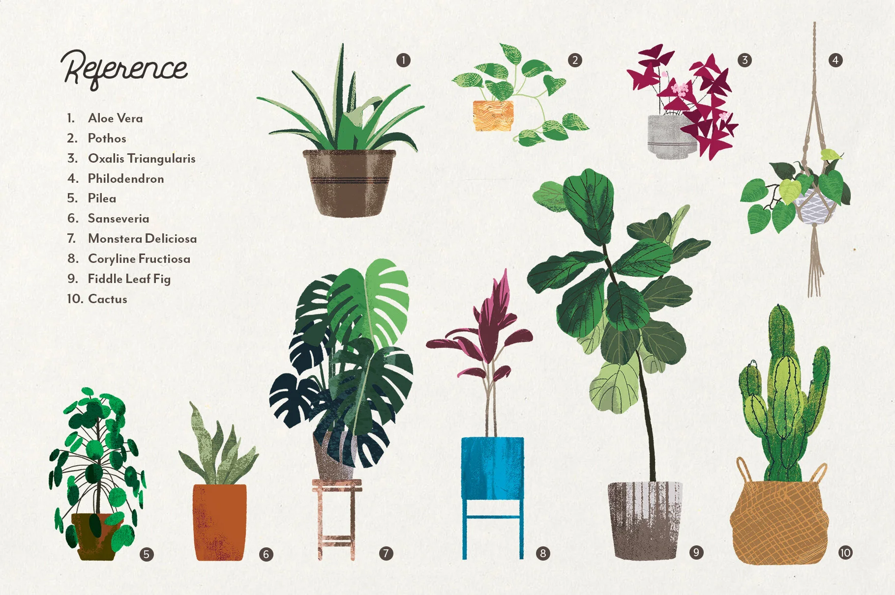 Screen Reference.jpg