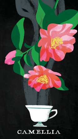 camellia_250px.gif