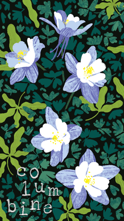 columbine_250px.gif