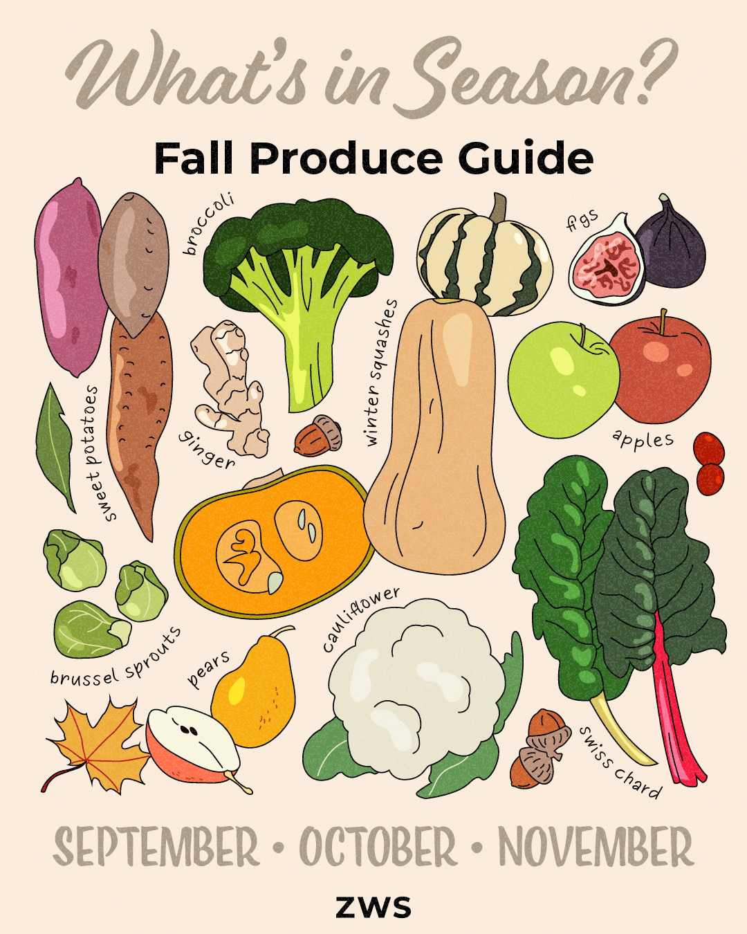 Fall Produce Guide