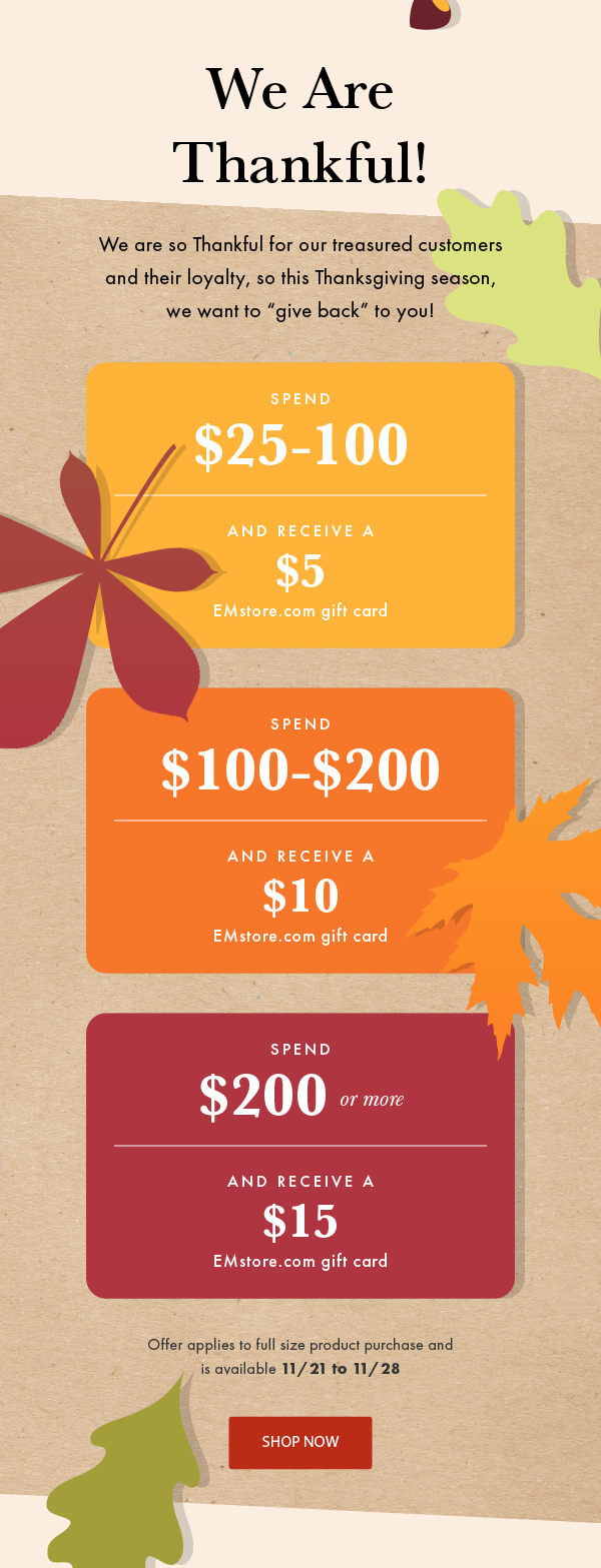 emstore_november_2019_email.png