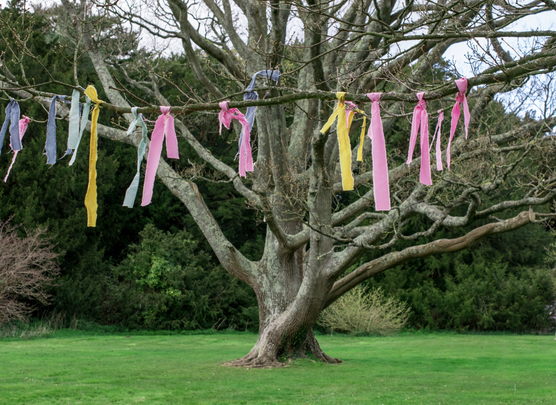 Screenshot 2026-04-06 at 5.07.41 PM.png