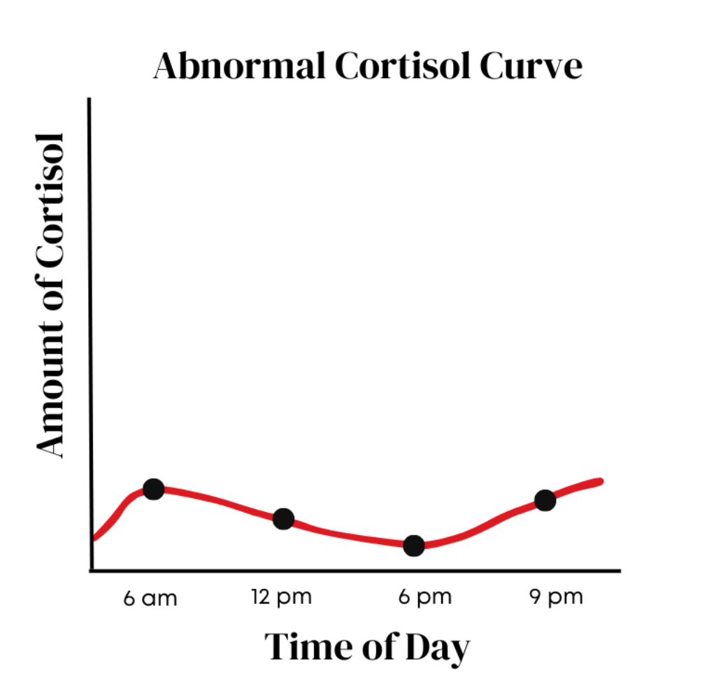 Feeling Exhausted? Learn the Signs of Low Cortisol and What You Can Do ...