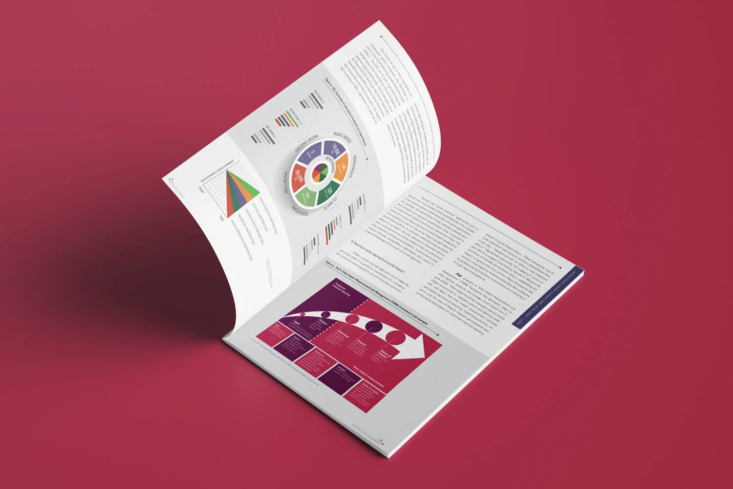 HEC S&O / Livre blanc