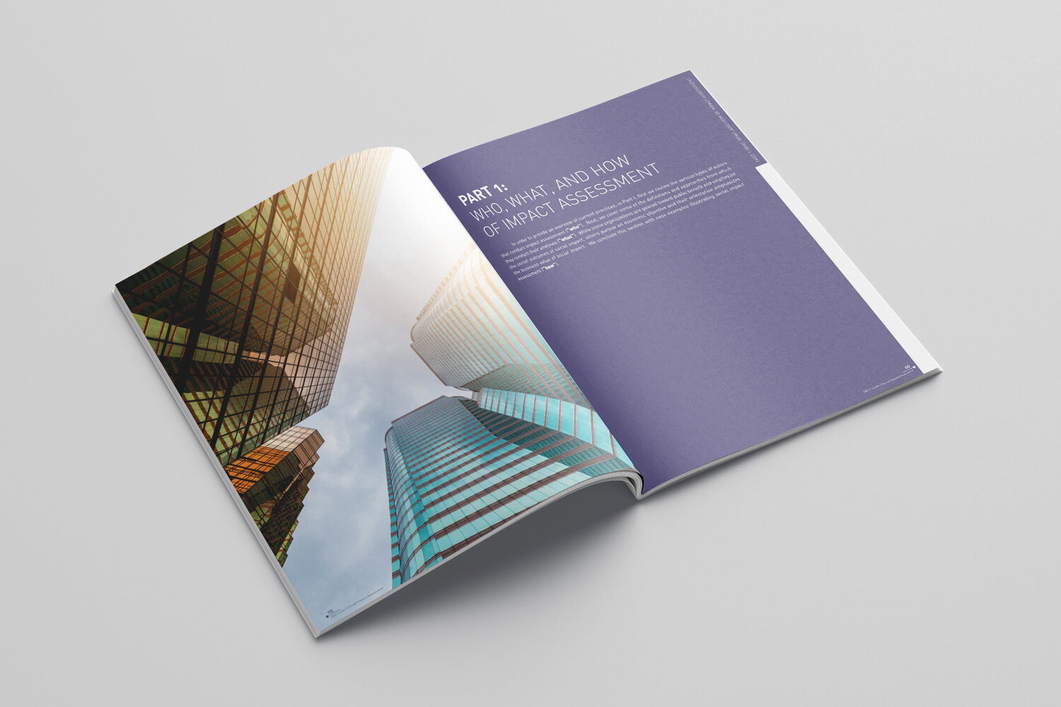 HEC S&O / Livre blanc
