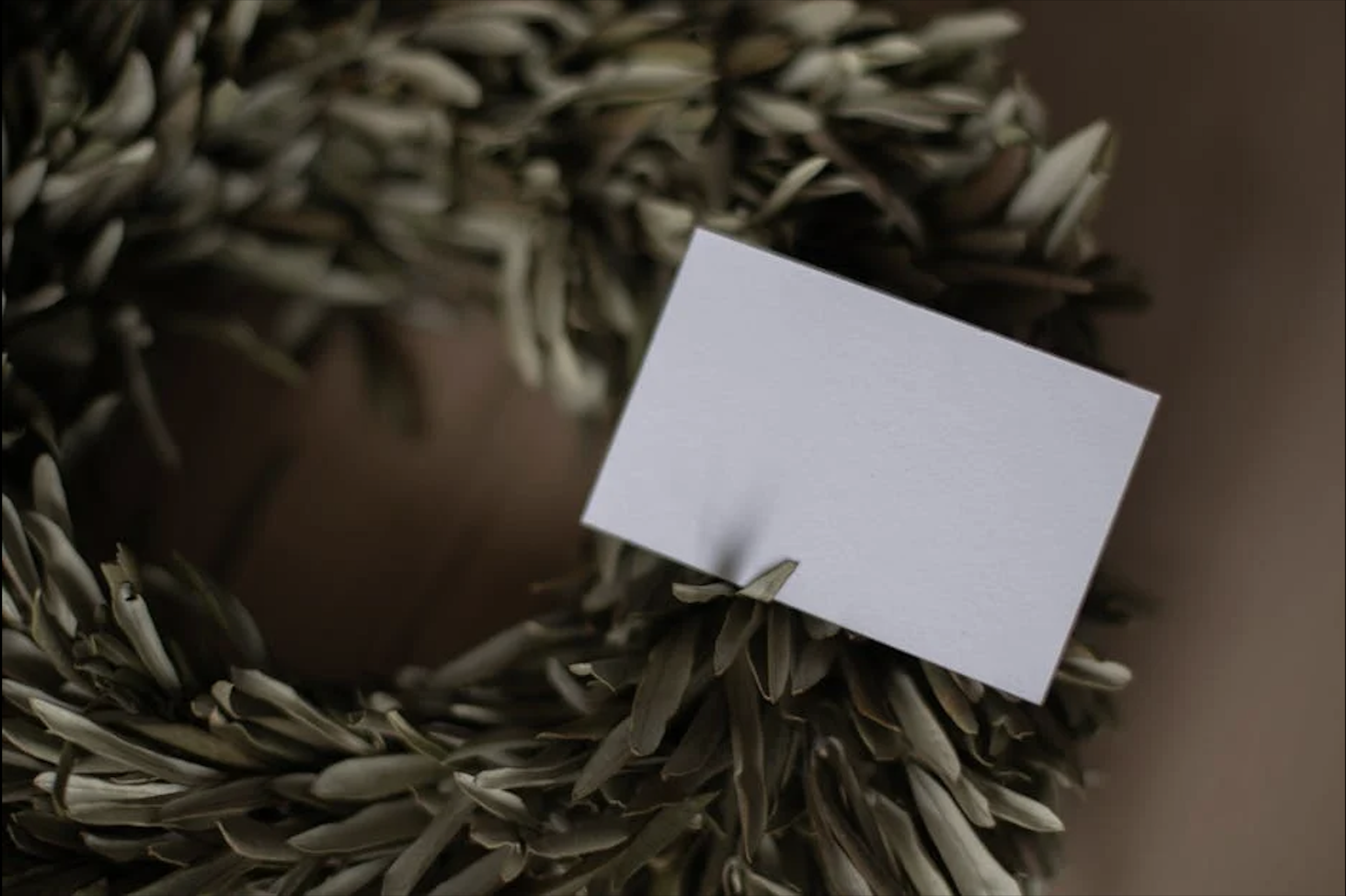 Biodegradable and Eco-Friendly Invitation Cards: A Greener Way to Invite