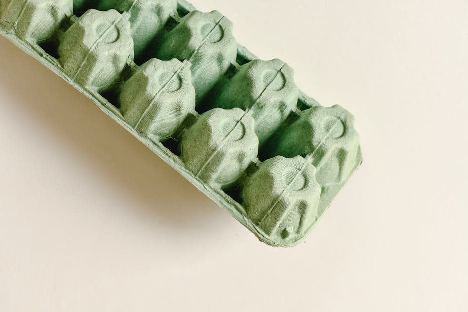 Eco-Friendly Packaging: Your Guide to Sustainable Solutions