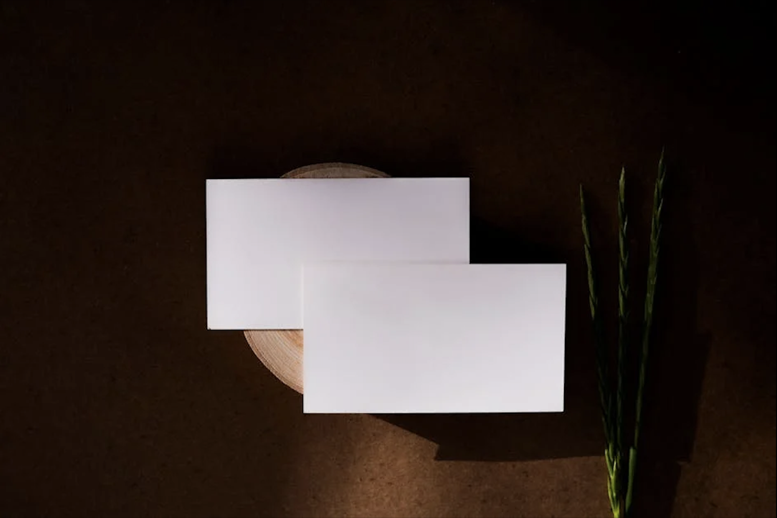 Recycled Paper Business Cards: How to Make a Green Impression