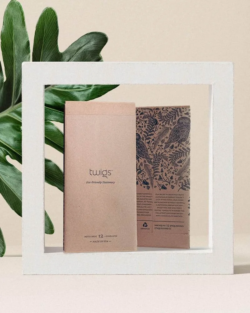 Eco-friendly stationery by Twigs, featuring note cards and envelopes in a minimalistic brown design with a nature-inspired pattern, framed and placed beside a large green leaf.