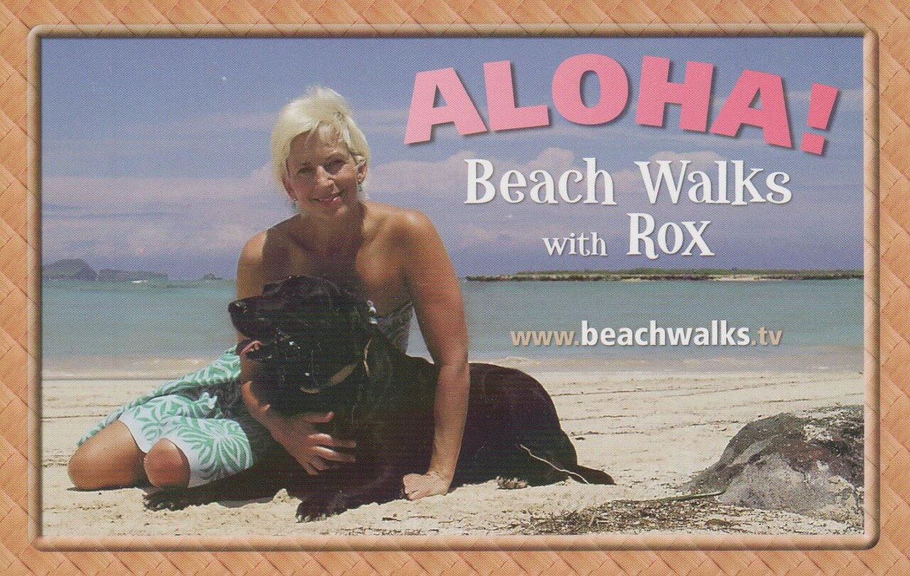 Photo-3-Roxanne-Darling-beachwalks.jpeg