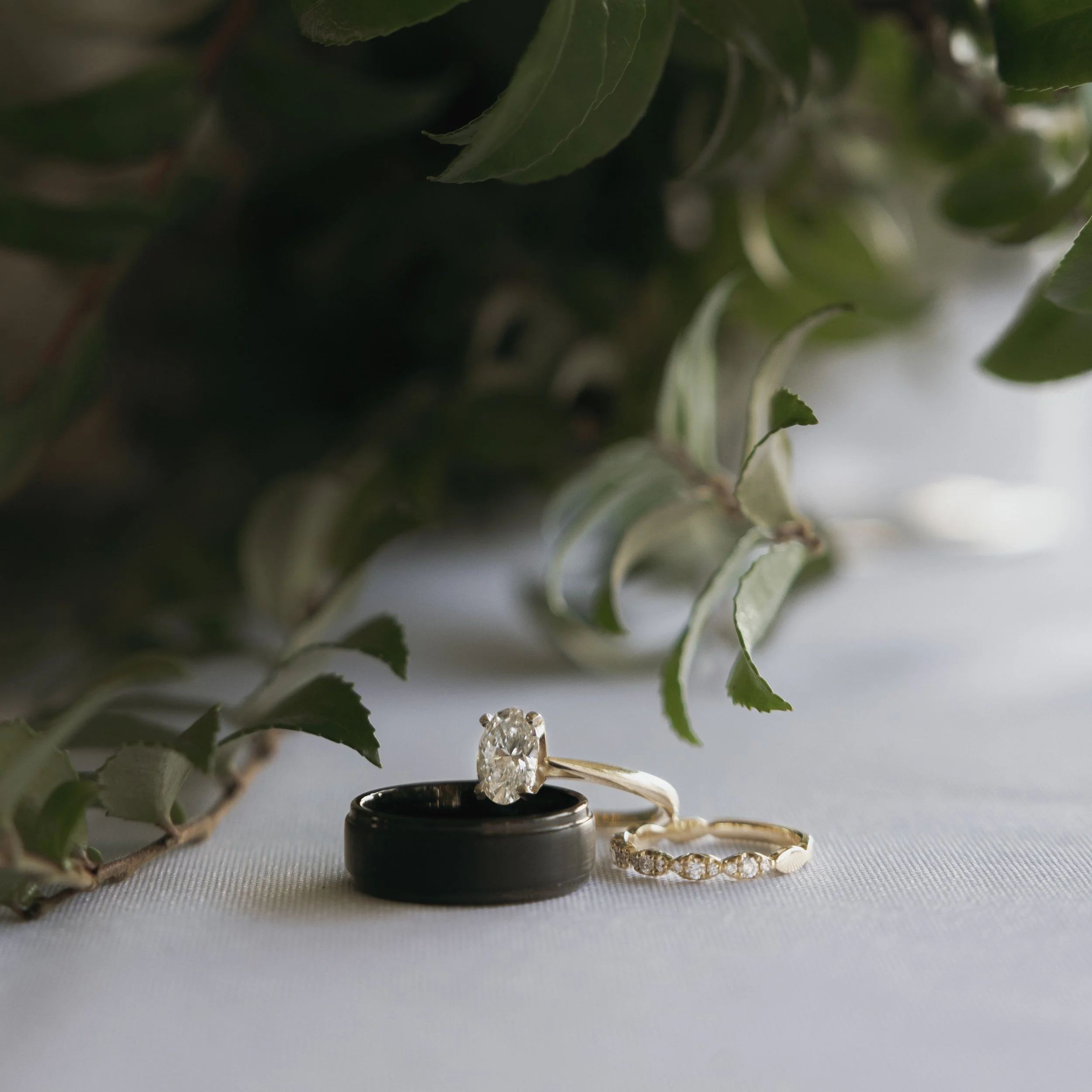 Wedding rings, including an engagement ring with a large diamond, a black ring, and a gold band with smaller diamonds, placed on a white surface near green foliage.