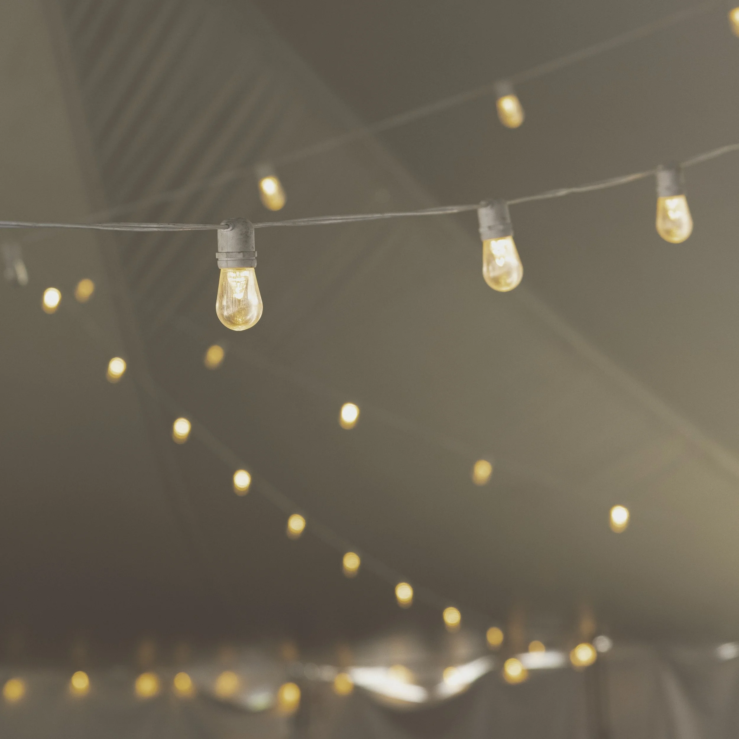 Close-up of string lights with glowing bulbs hanging indoors.