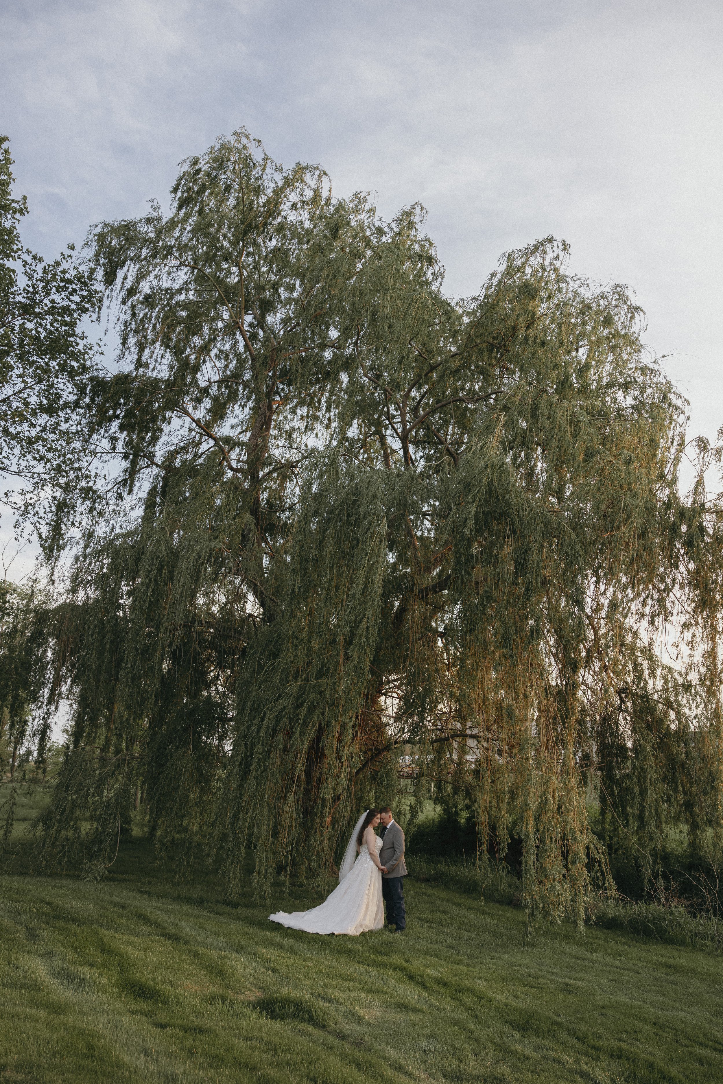 A bride and groom standing close under a large willow tree on a grassy field, during sunset.