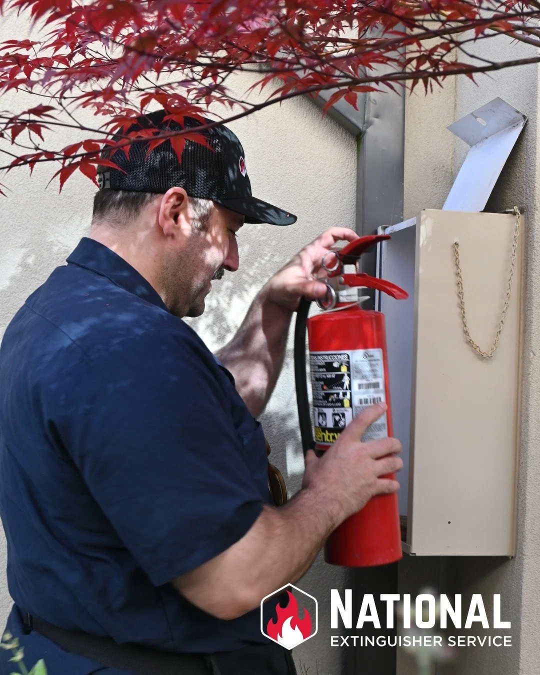 In addition to offering fire extinguishers and fire extinguisher services, NES also offers extinguisher cabinets. From standard to architecturally designed, we have the cabinets that will fit your needs.

Contact NES today at 503-232-6646 or click th