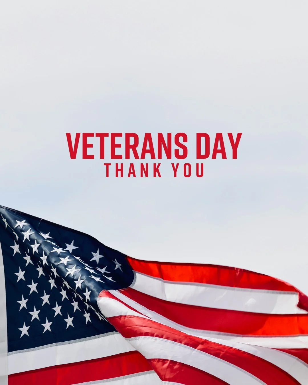 Happy Veterans Day! Thank you to all who have served and to those who made the ultimate sacrifice for our country. #NES #NationalExtinguisherService #VeteransDay