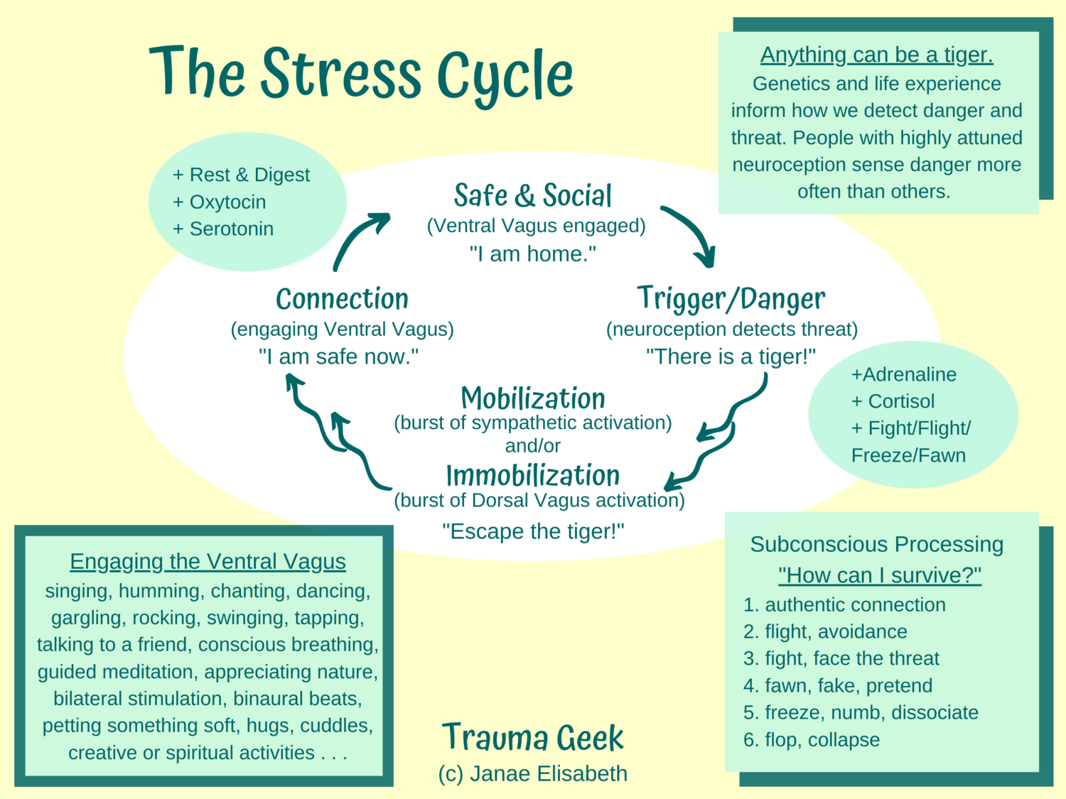 The Stress Cycle Poster (Instant Download) — Trauma Geek